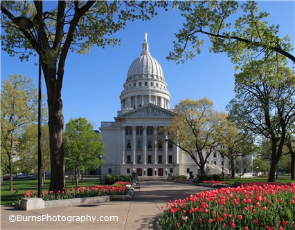 Madison Wisconsin State Capitol Tulips