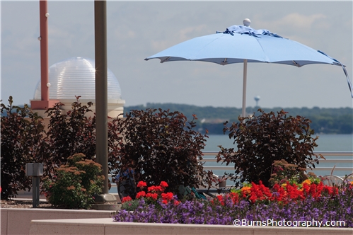 Picture of Flowers and Umbrella on the Monona Terrace
