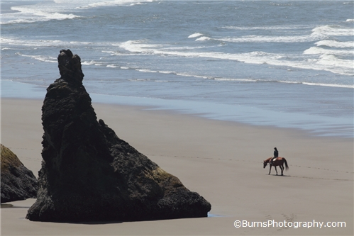 Horseback riding on the Oregon coast.