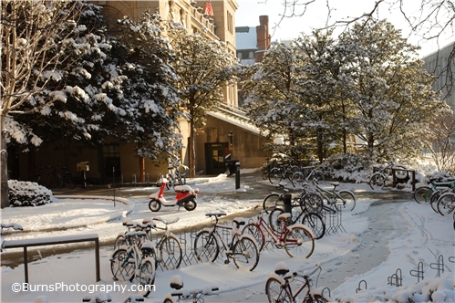Bikes in Snow