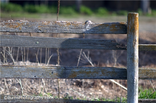 Picture of Wood Fence and Post