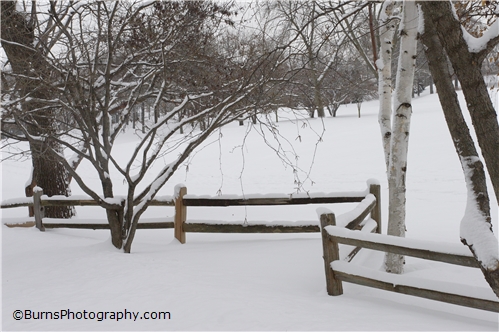Picture of Fence in Snow