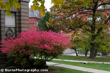 Picture of Education Building in the Fall