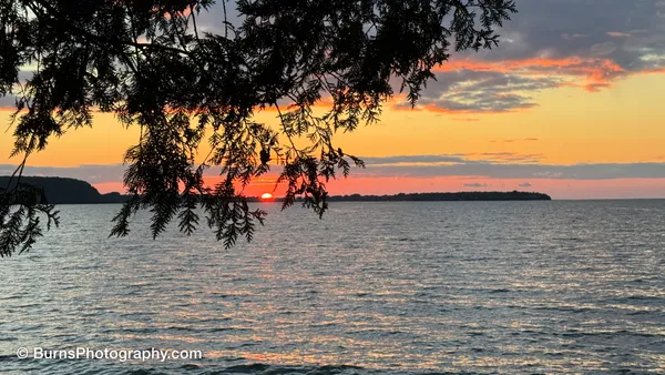 Silhouetted branches frame a setting sun over calm bay water with a wooded point on the horizon.
