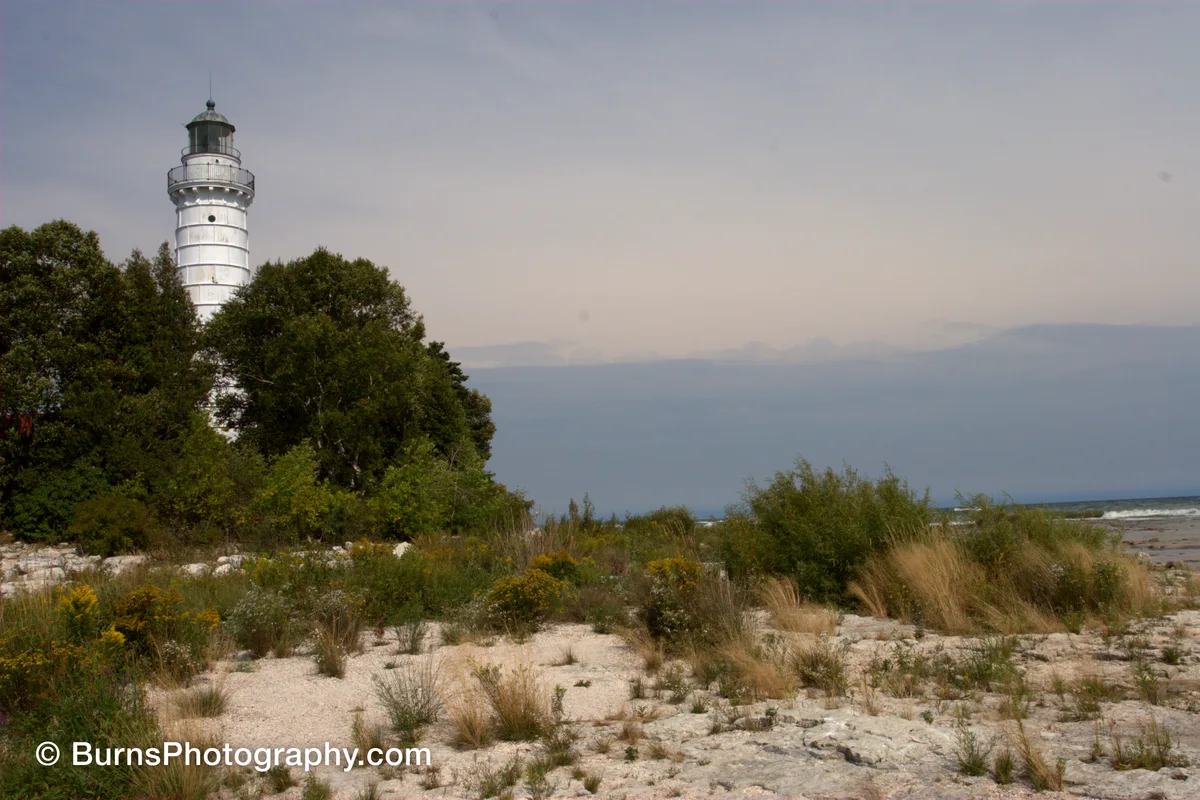 White lighthouse tower behind green trees above a flat limestone shore with grasses and goldenrod by a lake
