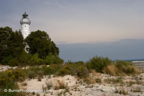 White lighthouse tower behind green trees above a flat limestone shore with grasses and goldenrod by a lake