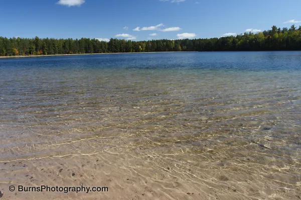 Clear shallow lake water over rippled sand, with a distant pine shoreline and blue sky with small clouds