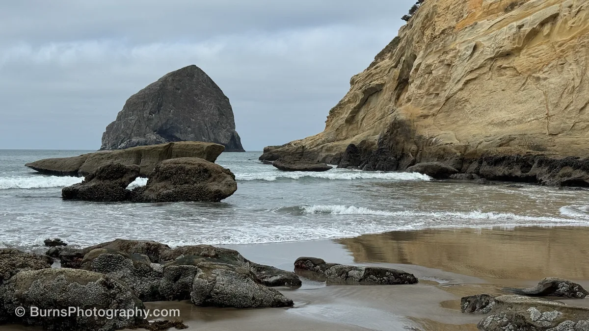 Sea stack offshore beside sandstone headland, barnacled rocks and surf on wet beach under gray sky