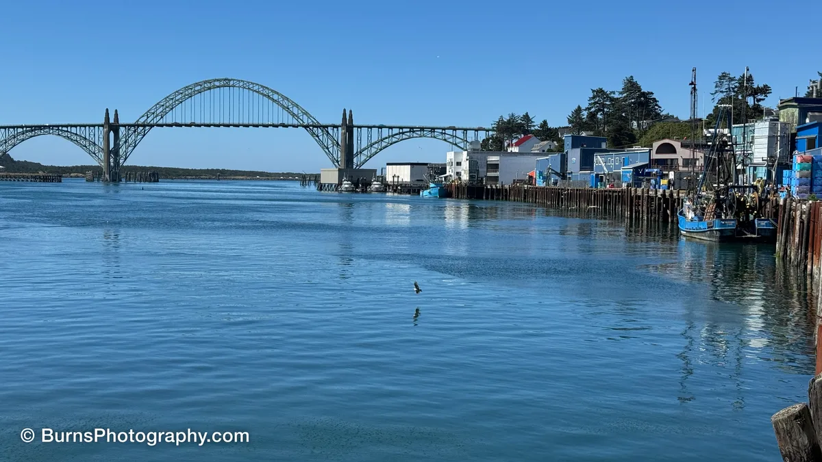 Steel arch bridge over a calm bay with docks, fishing boats and waterfront buildings along the right shore