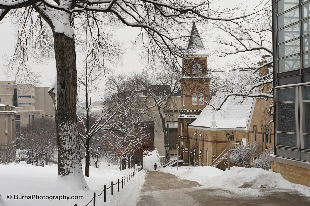 Snow-covered campus hill with cleared path, chain fence, bare trees and a sandstone clock tower building