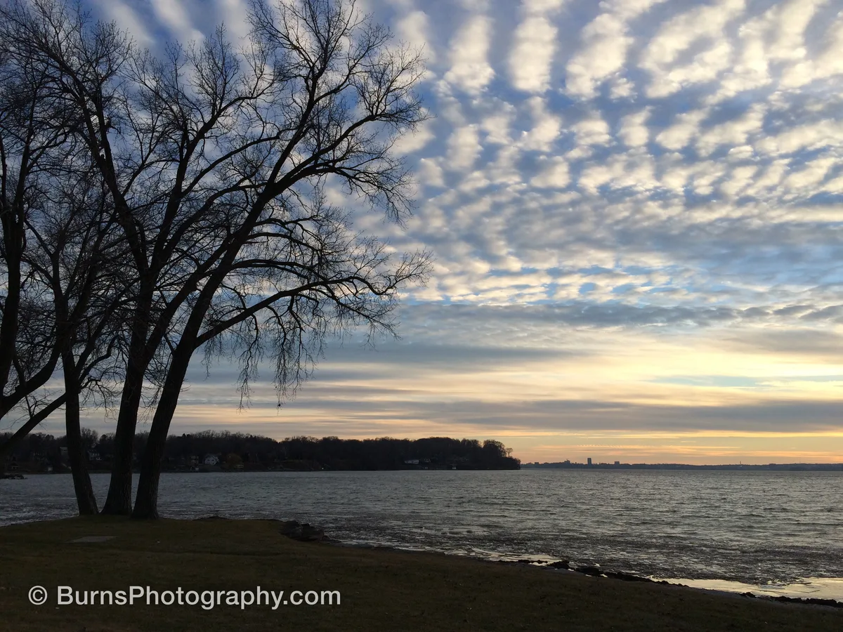 Bare trees silhouetted on a grassy lakeshore under rippled clouds, distant skyline across the water
