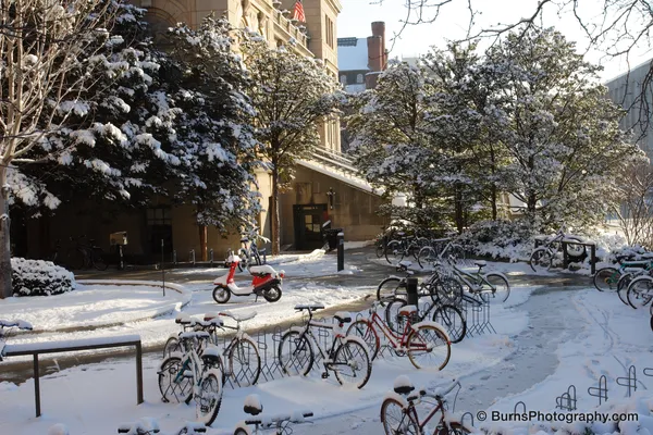 Bicycles and a red scooter covered in snow at racks outside stone campus buildings, snowy trees behind