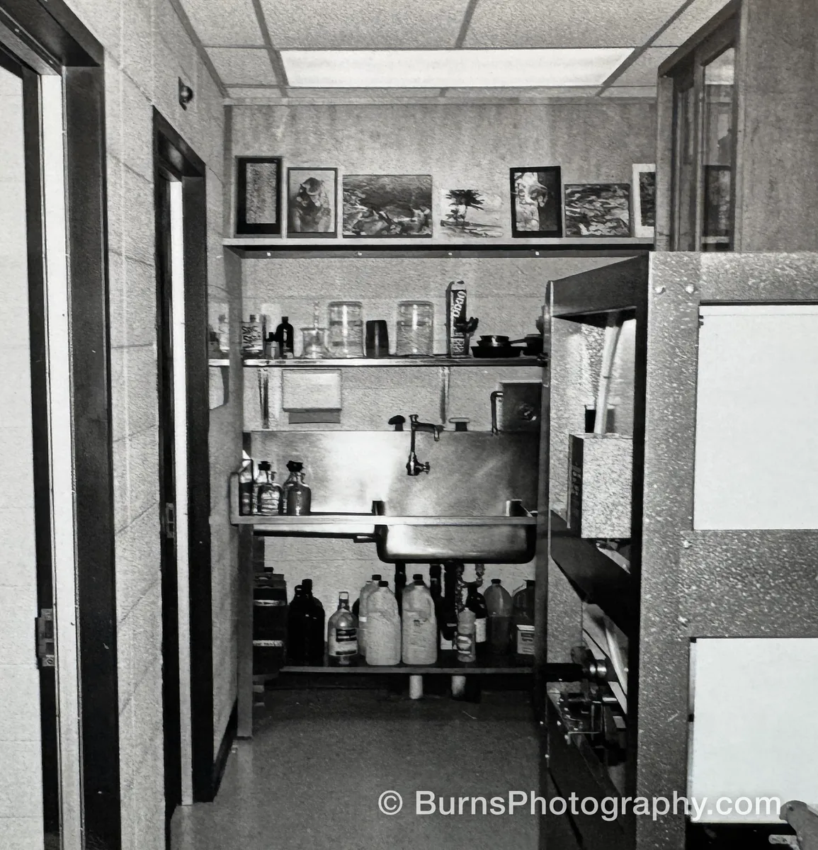 Chemical mixing interior with stainless sink, shelves of bottles and jugs, framed prints above